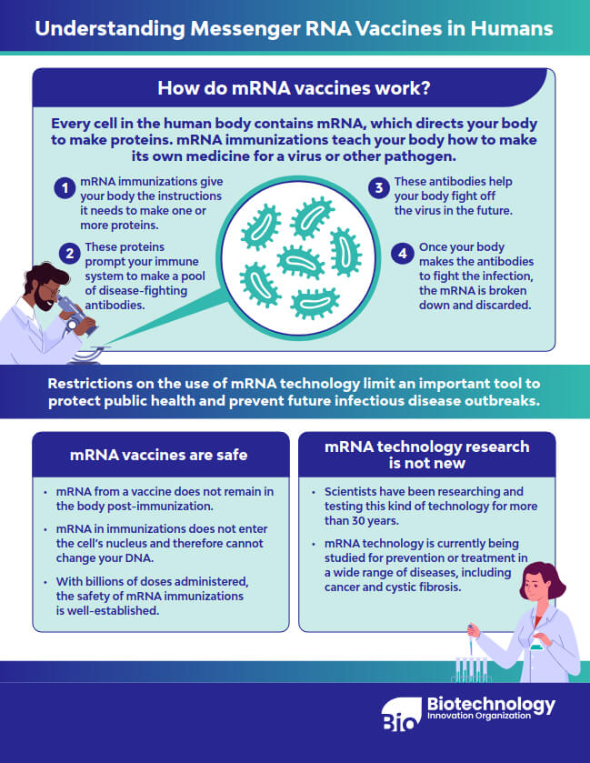 understanding_messanger-image