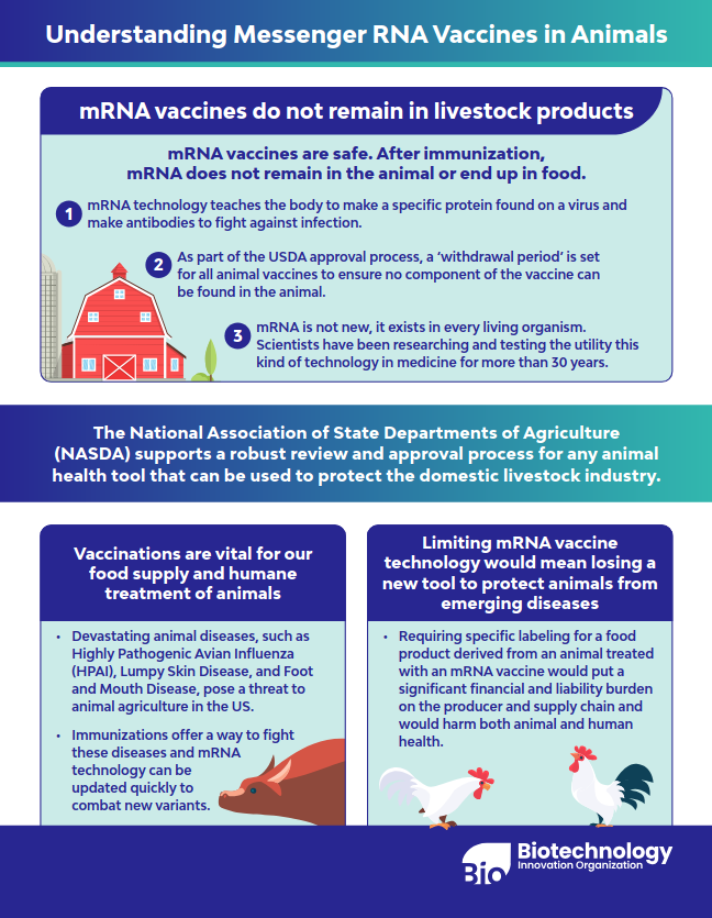 understanding_messenger_rna