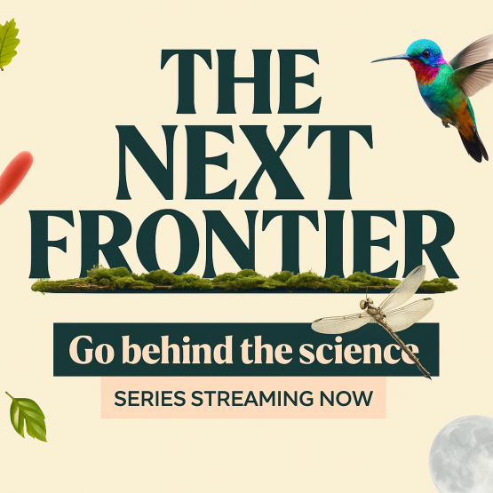 the_next_frontier